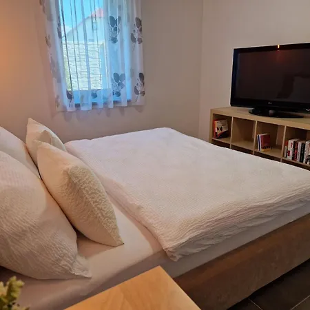 Houbovy Vrch By Interhome Appartement Horní Planá